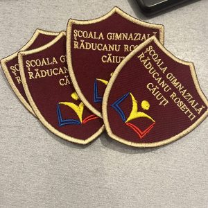 Sigle Scoala Gimnaziala Caiuti BC