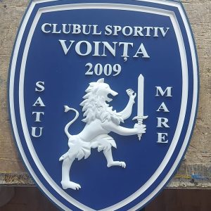 Vointa Satu Mare