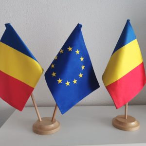 stegulete satinate cu suport birou